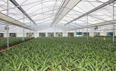 財政部公示21個國家現代農業產業園,服務現代農業我們是認真的