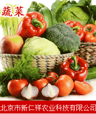 蔬菜企業大全 蔬菜企業大黃頁 蔬菜生產商