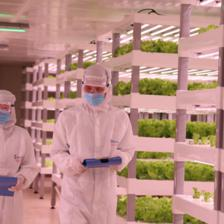 AI人工智能進(jìn)軍農(nóng)業(yè) 中科三安驚艷9.8投洽會(huì)