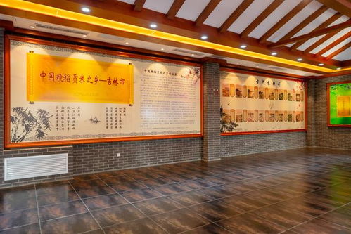 冰雪奇緣在吉林 冬季遛娃的農(nóng)業(yè)科技之旅