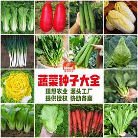 10000克大米背后的農(nóng)業(yè)科技服務(wù) 從一粒種子到萬(wàn)家餐桌的智慧之旅